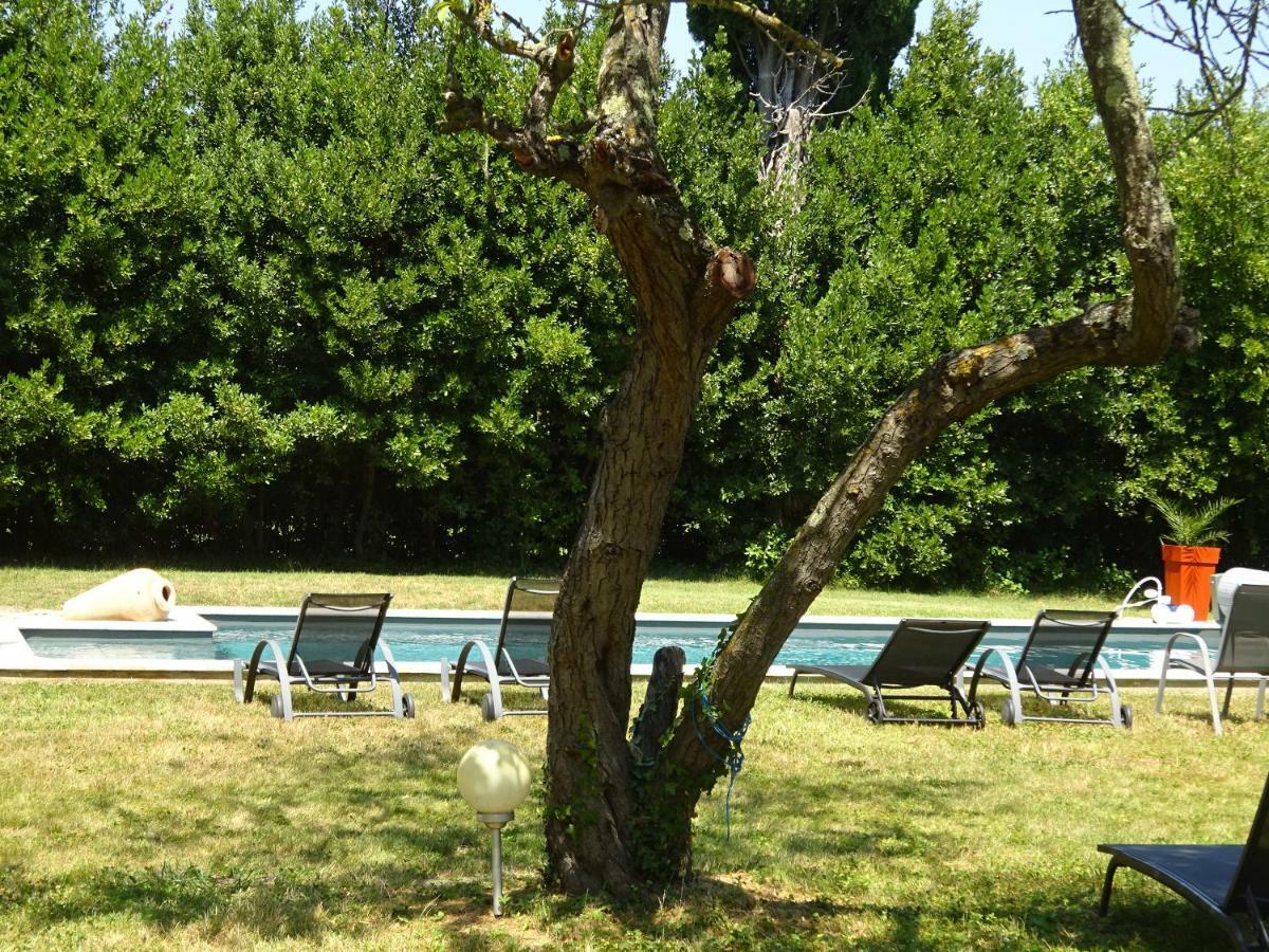 Mas De L'Aguarella Villa Saint-Rémy-de-Provence Eksteriør billede